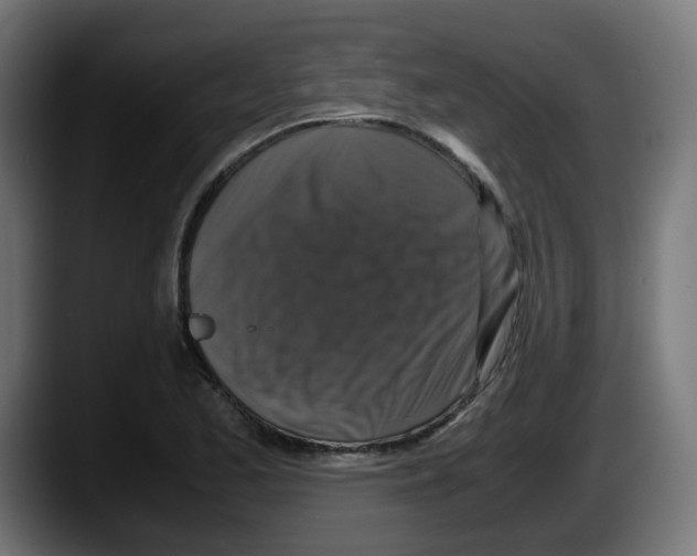 X0000087541173200705251714