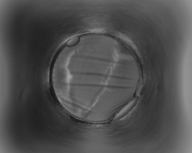 X0000087541174200705251714