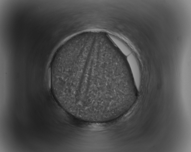 X0000087541175200705251714