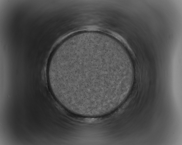 X0000087541176200705251714