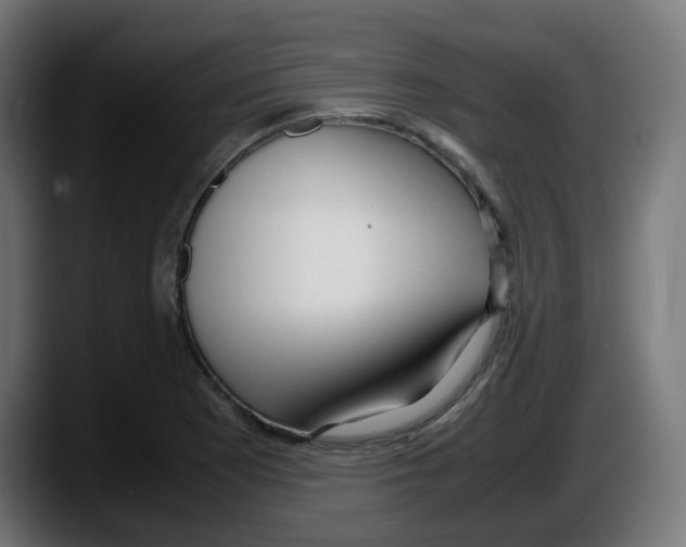 X0000087541177200705251714