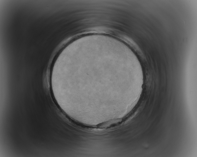 X0000087541180200705251714