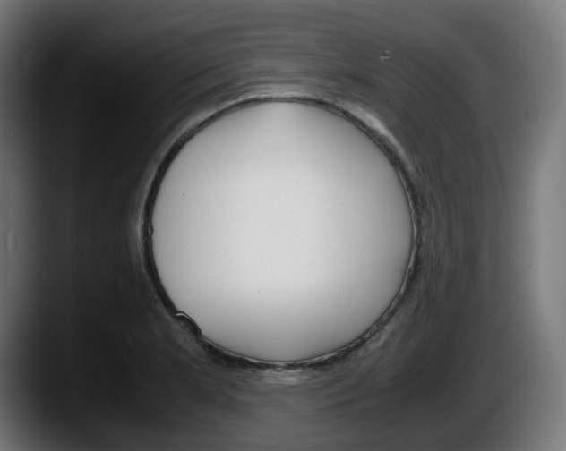 X0000087541181200705251714