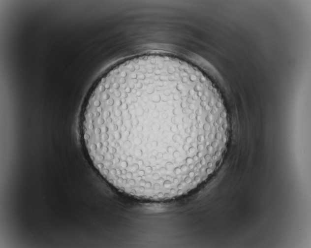 X0000087541182200705251714