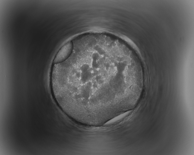 X0000087541183200705251713