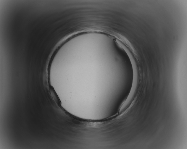 X0000087541184200705251713