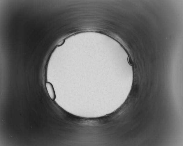 X0000087541187200705251713