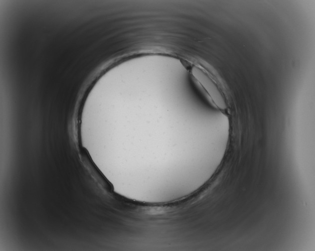 X0000087541188200705251713