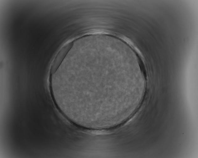 X0000087541189200705251713