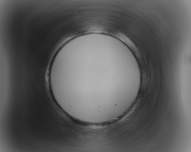 X0000087541190200705251713