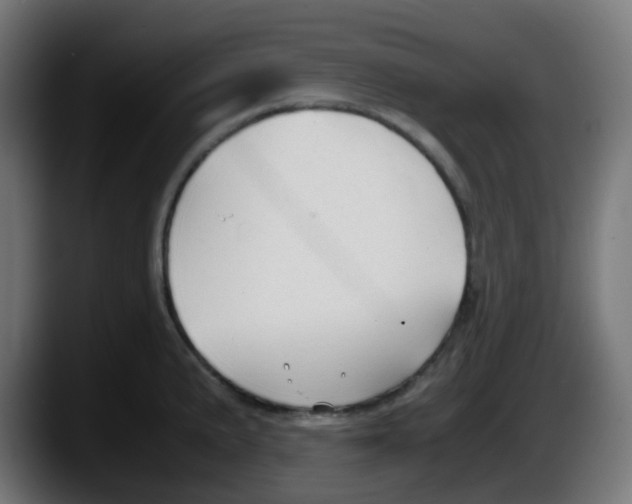 X0000087541191200705251713