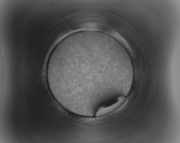 X0000087541192200705251713