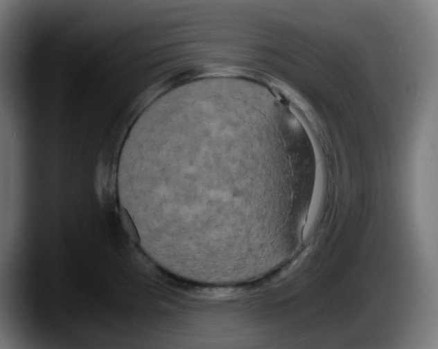 X0000087541193200705251713