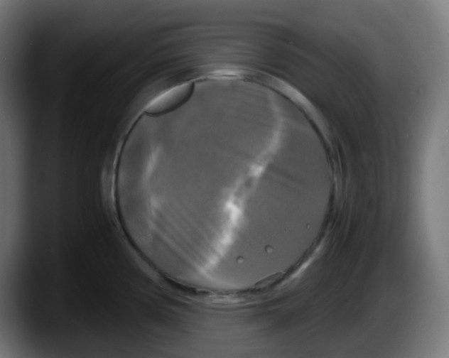 X0000087541194200705251713