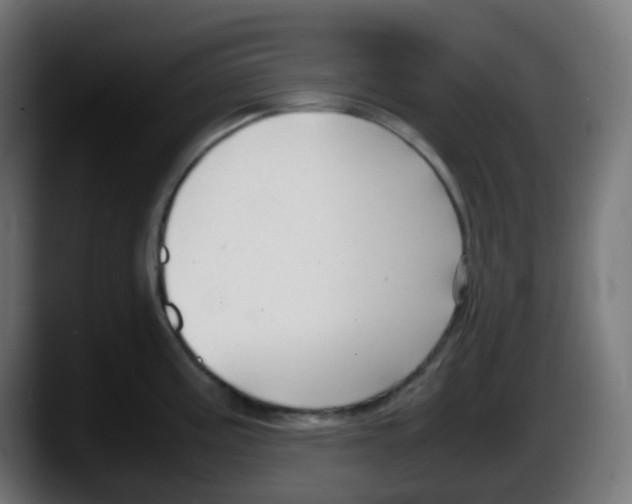 X0000087541195200705251713