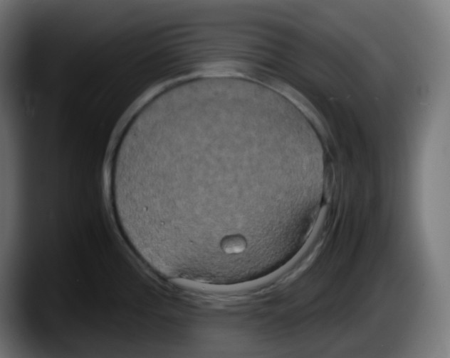 X0000087541196200705251713