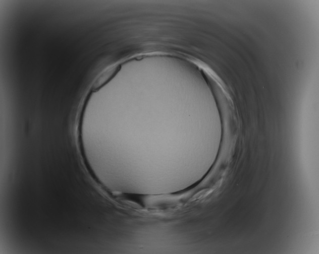 X0000087541197200705251713