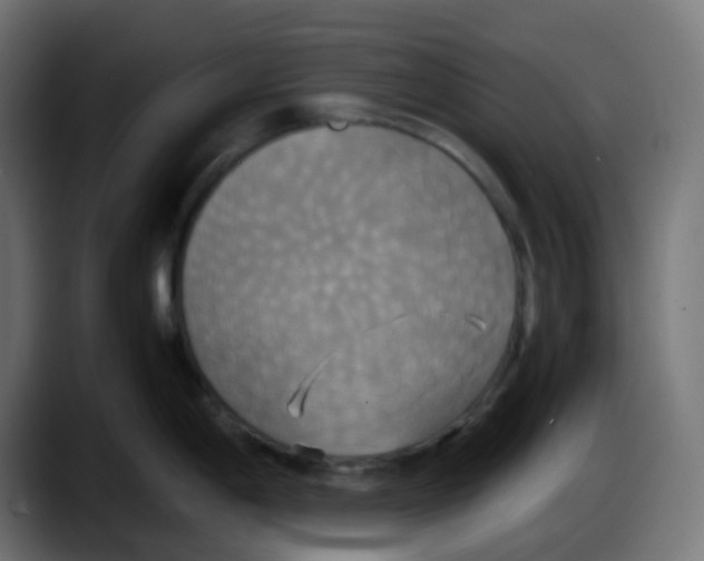 X0000087541198200705251713