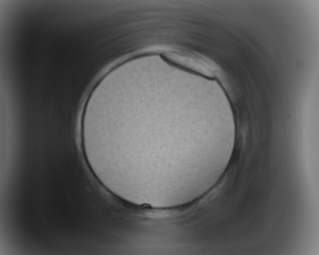 X0000087541199200705251713