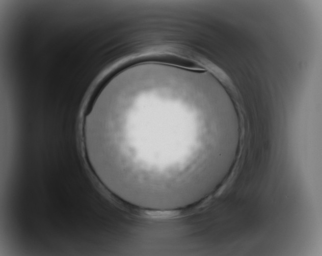 X0000087541200200705251713