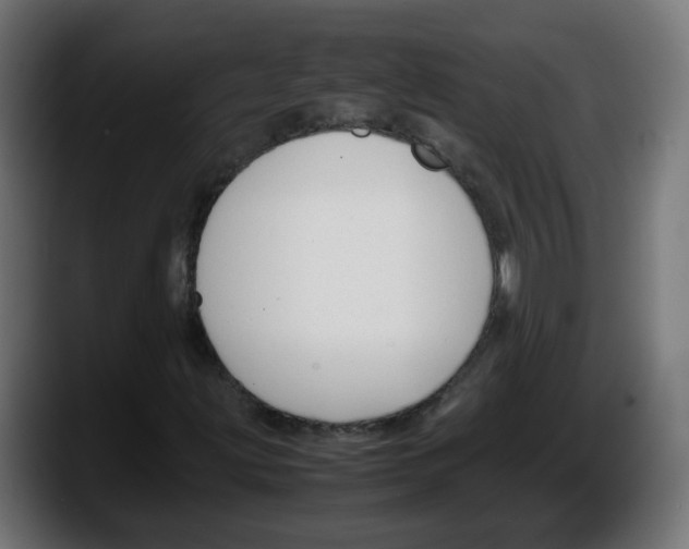 X0000087541203200705251713