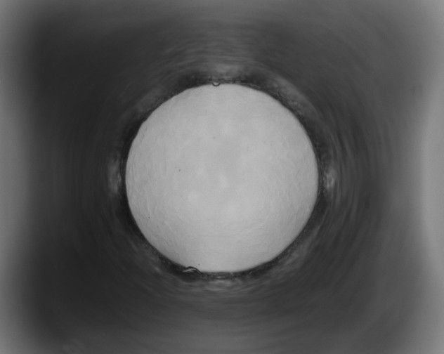 X0000087541204200705251713