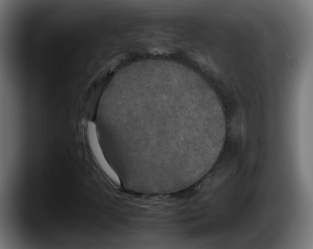 X0000087541205200705251713