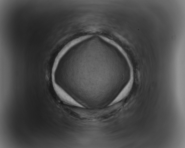 X0000087541206200705251713