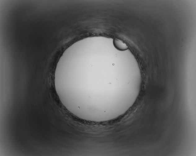 X0000087541207200705251713