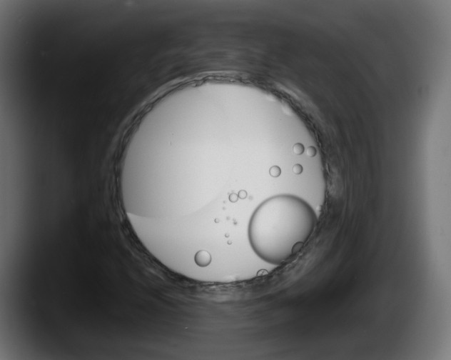 X0000087541208200705251713