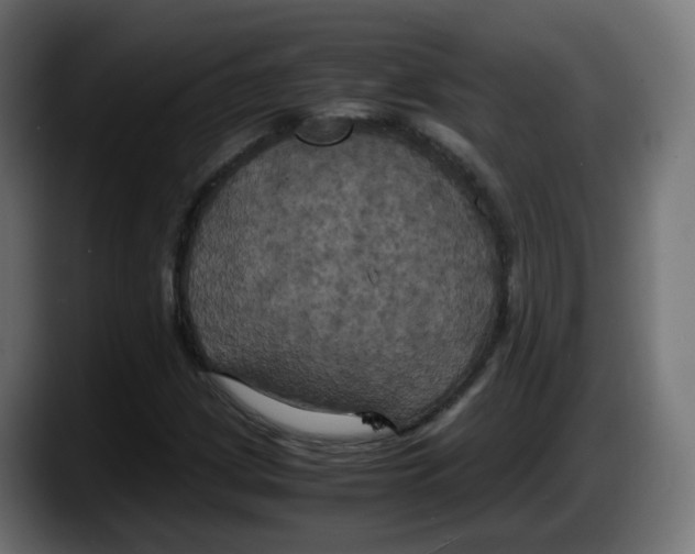 X0000087541209200705251713