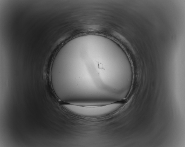 X0000087541210200705251713