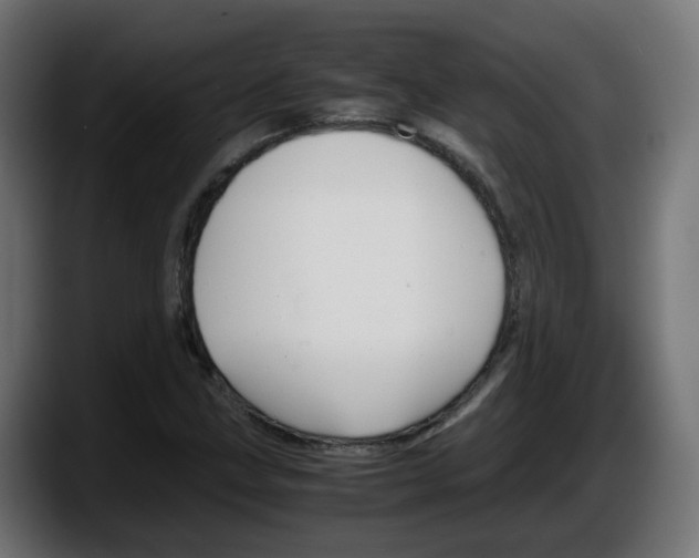 X0000087541211200705251713