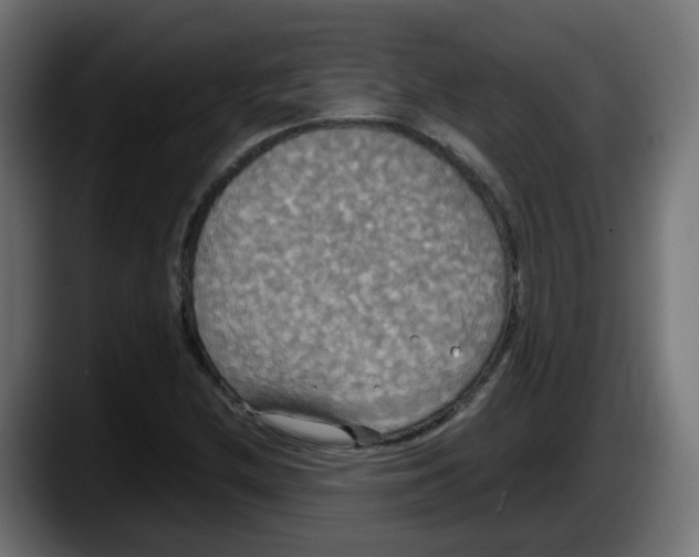 X0000087541212200705251713