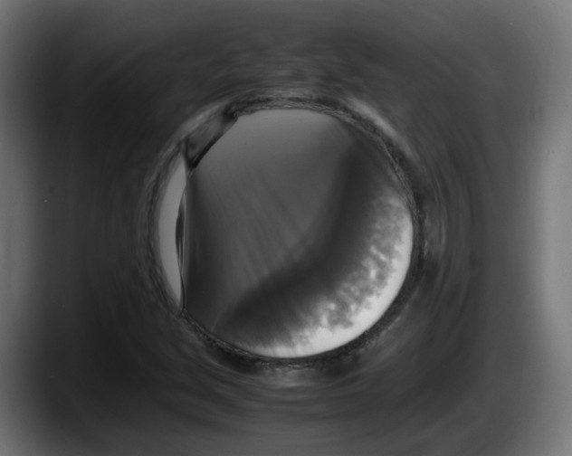 X0000087541213200705251713