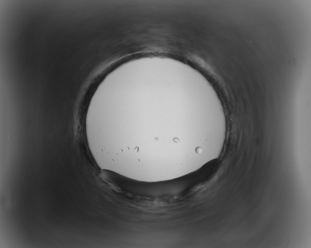 X0000087541215200705251713