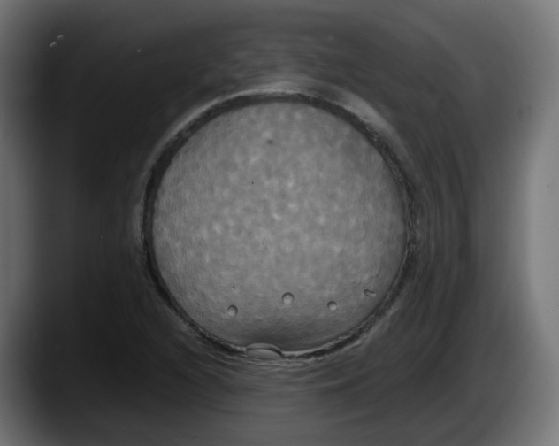 X0000087541216200705251713