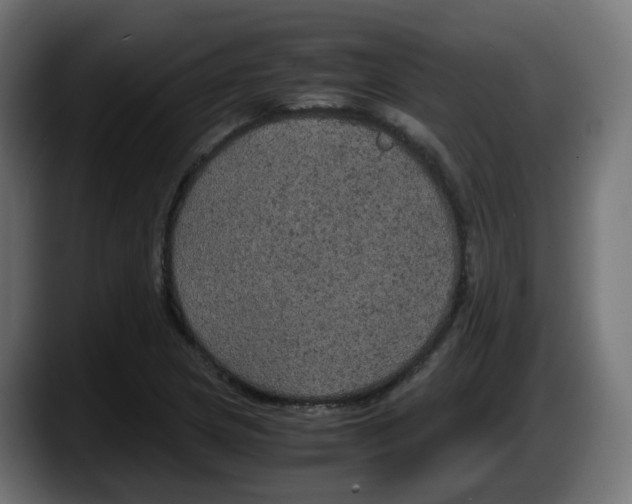 X0000087541217200705251713