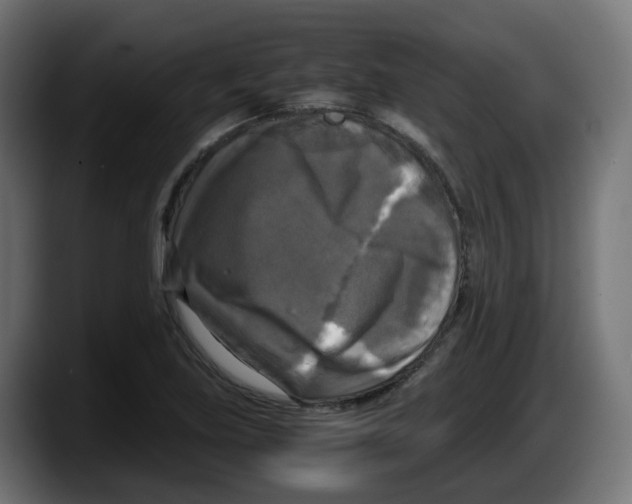 X0000087541219200705251713