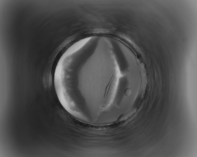 X0000087541221200705251713