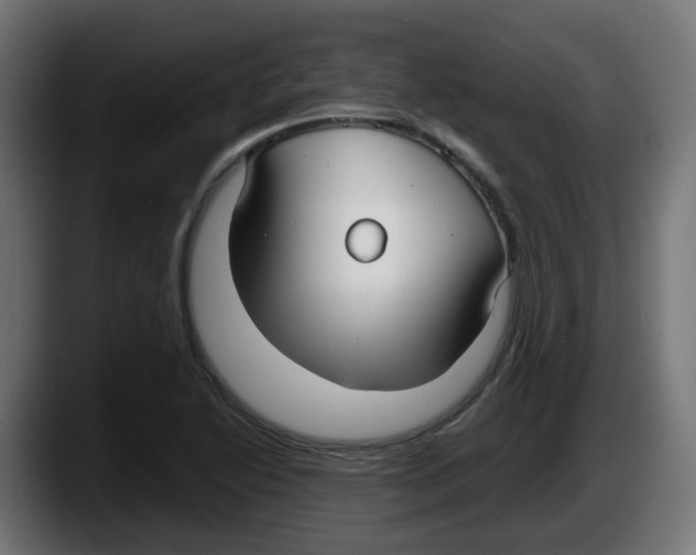 X0000087541222200705251713