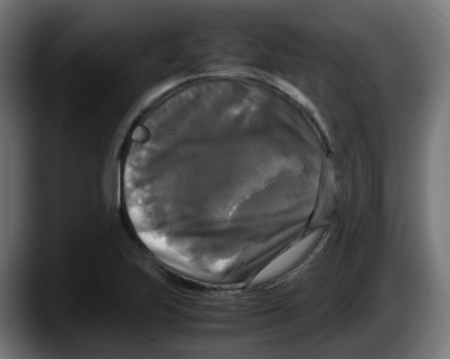 X0000087541223200705251713