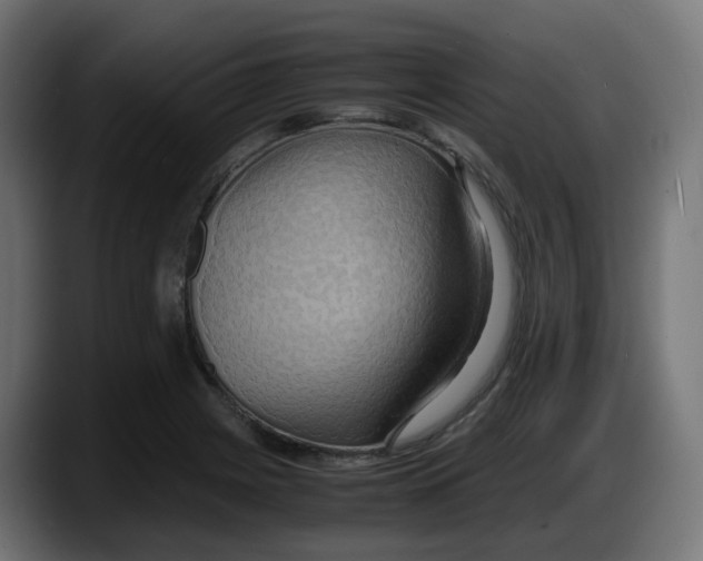 X0000087541225200705251713