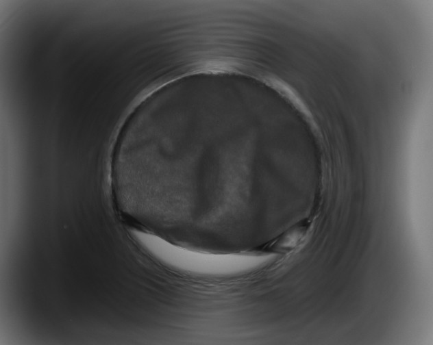 X0000087541226200705251713