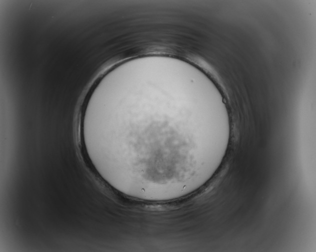 X0000087541227200705251713