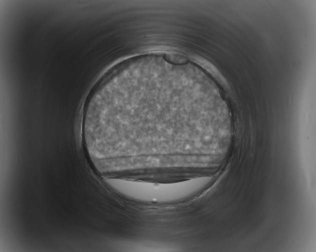 X0000087541228200705251713