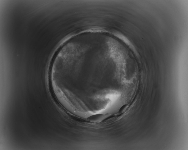 X0000087541229200705251713