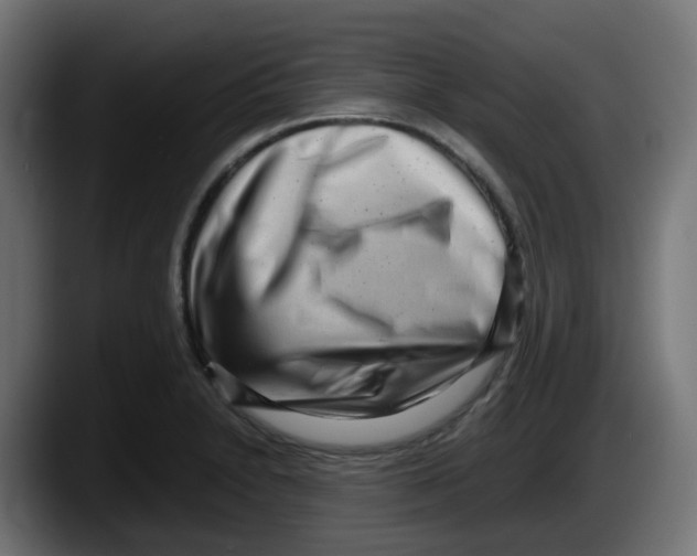 X0000087541230200705251713