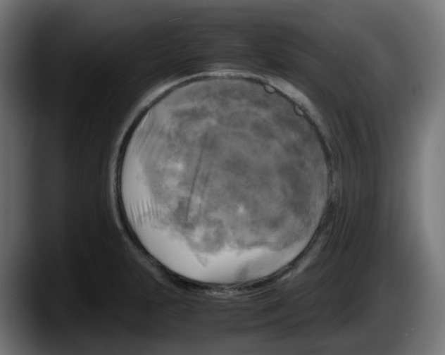 X0000087541231200705251713