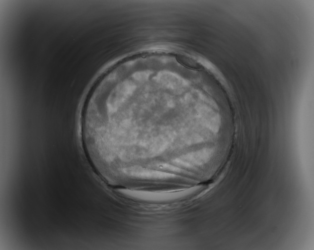 X0000087541232200705251713